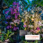 Mille et une orchidées 2025 - les photos