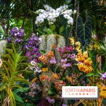 Mille et une orchidées 2025 - les photos