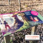 Balade sentier : Conte de Mélida, l'esprit de la forêt en forêt de Méridon (78)