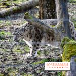 Lumigny Safari Reserve - nos photos