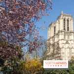 Le Square Viviani devant Notre-Dame de Paris