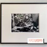 Exposition Irina Ionesco aux galeries Rachel Hardouin et La Lison - IMG 3691