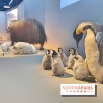 Déserts : l'exposition scientifique se dévoile au Muséum d'Histoire naturelle de Paris