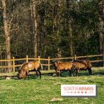 La Ferme de l’Abbaye des Vaux de Cernay : l'hôtel de charme en pleine nature dans les Yvelines - photos