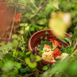 Campagne #1223 - Jardin21 Ateliers LevietPhoto 072025 2784