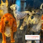 Collection dédié aux chiens