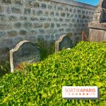 Encore plus d'Auvers-sur-Oise