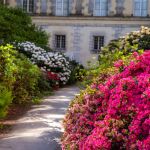 Château de Fontainebleau - jardin du parc du Château de Fontainebleau
