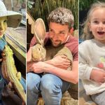 Le Monde de Noé : L’expérience immersive sur le monde animal 