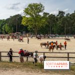 Le Grand Parquet Fontainebleau - photos  - A7C02562