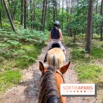 Balade en chevaux Henson en forêt de Fontainebleau