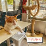 Chat-Rivari Café