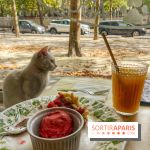Chat-Rivari Café