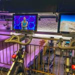 Semper Wellness - IMG 4600