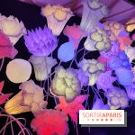 Jardiner : une exposition au cœur de la nature à vivre à la Cité des Sciences et de l'Industrie