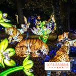 Thoiry Lumières Sauvages 2025 : le Bal des Esprits