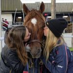 Les dimanches à l’Hippodrome Paris-Vincennes - 2