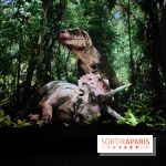 Dinosaures : l'expérience immersive qui nous fait remonter le temps à l'Atelier des Lumières, photos