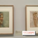 Rodin, dessins libres : une exposition d'œuvres rarement montrées au musée Rodin se dévoile - fotor 1765539489879