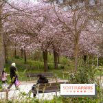 Les cerisiers du parc Martin Luther King - Clichy - Batignoles