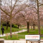 Les cerisiers du parc Martin Luther King - Clichy - Batignoles