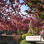 Les pommiers et cerisiers en fleurs du Jardin de Reuilly, Parc de Reuilly à Paris 12e - photos