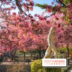 Les pommiers et cerisiers en fleurs du Jardin de Reuilly, Parc de Reuilly à Paris 12e - photos  - visuel