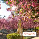 Les pommiers et cerisiers en fleurs du Jardin de Reuilly, Parc de Reuilly à Paris 12e - photos  - visuel