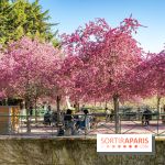 Les pommiers et cerisiers en fleurs du Jardin de Reuilly, Parc de Reuilly à Paris 12e - photos  - table pique nique 