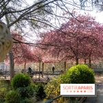 Les pommiers et cerisiers en fleurs du Jardin de Reuilly, Parc de Reuilly à Paris 12e - photos