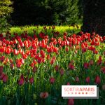 Le Parc de Bagatelle au printemps, cerisier, tulipes et jonquilles - photos