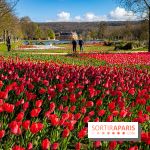 Les tulipes du Château de Dampierre, son jardin anglais et le jardin Le Nôtre