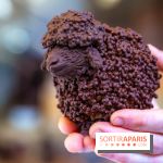 Pâques 2026, les chocolats artisanaux de Willliam Artigue à Paris - A7C09846 Edit Edit