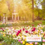 Le Château de Buc et son superbe domaine, parc paysagé aux nombreux trésors - A7C03157 Edit