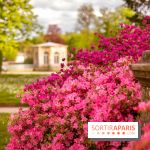 Parc et Jardins du Château de Fontainebleau - les photos  - A7C04486