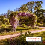 Le Parc des Ibis au Vésinet dans les Yvelines en Région Parisienne - photos  - A7200441