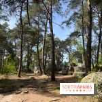 Escalade en Forêt de Fontainebleau - nos photos