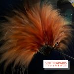 Plumes de Paradis, l'expo au musée du Quai Branly - nos photos