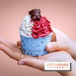 Le comptoir à glaces de Pleincœur et ses coupes glacées - photos