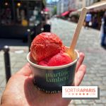 Glaces Martine Lambert - glacier