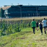 2ème édition du Viti-trail de 10 km du Domaine de Paris Gravelle Dimanche 6 septembre 2026