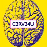 Cerveau, exposition Cité des Sciences