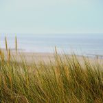 Hauts-de-France : la liste des plages ouvertes ce week-end des 16 et 17 mai