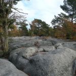 fontainebleau-platiere-apremontjpg