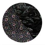 Najeon, l'exposition gratuite qui met en avant l'art de la nacre au Centre culturel coréen 