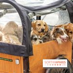 Salon Paris Animal Show 2022 à la Porte de Versailles