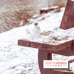 Neige et verglas en Île-de-France la semaine prochaine ? 