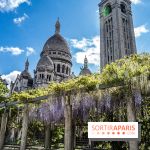 Ou voir les plus belles glycines de Paris, les spots incontournables et cachés - square Marcel Bleustein Blanchet
