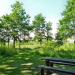 Rendez-vous aux Jardins 2019 au Parc de Groussay