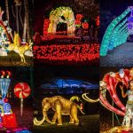 L’Odyssée Lumineuse au Parc Floral 2024 nous plonge dans les contes et légendes du monde entier